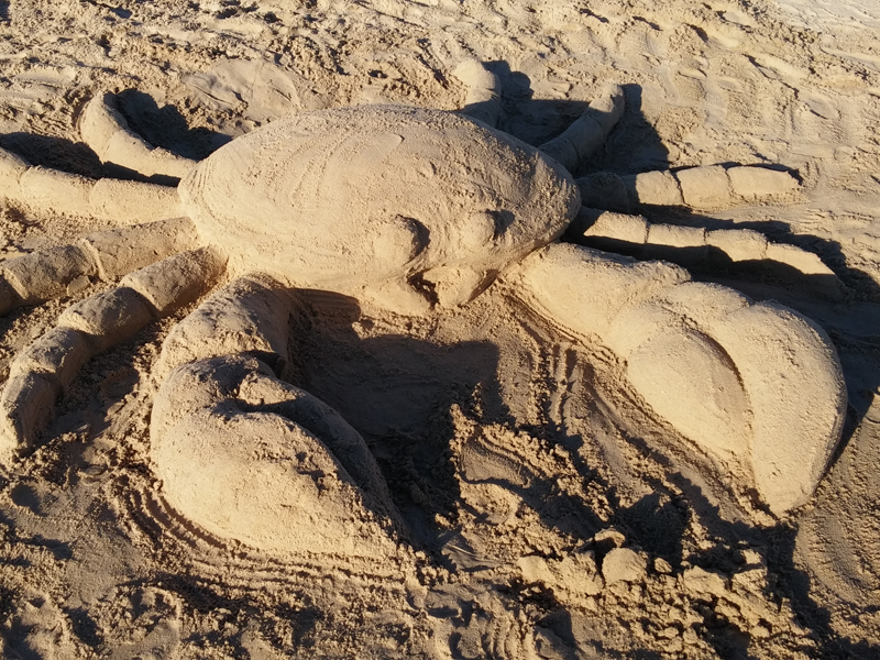 blood pressure app ui