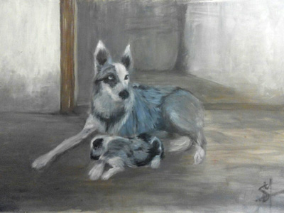 blood pressure app ui